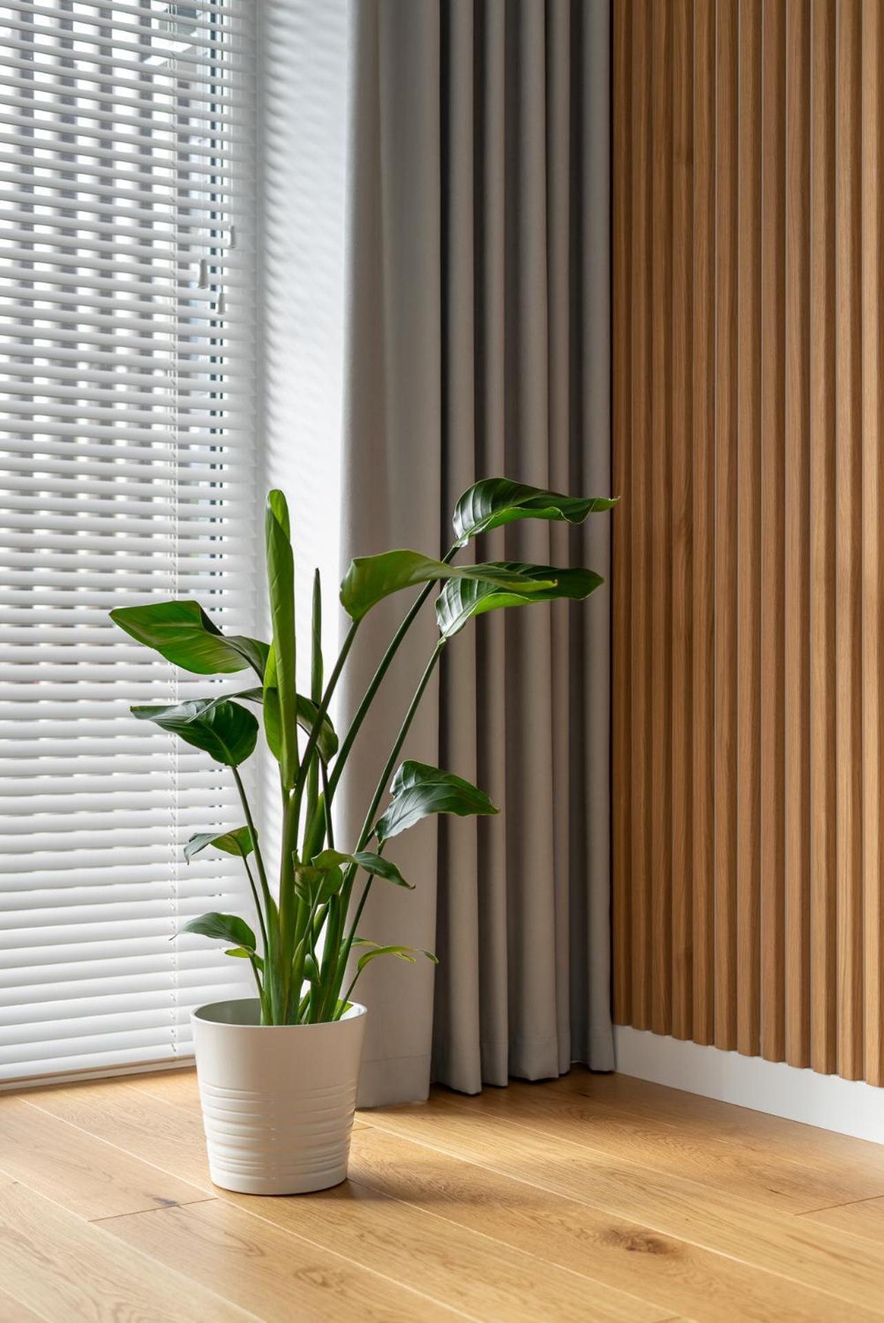 D33 Vilnius - Brand New Luxury Apartment With Terrace, Garden, Ac And Parking Exterior photo